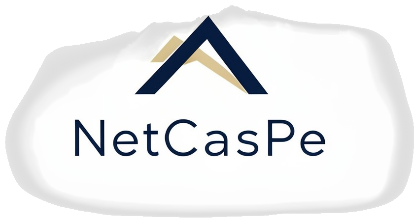 NetCasPe Logo